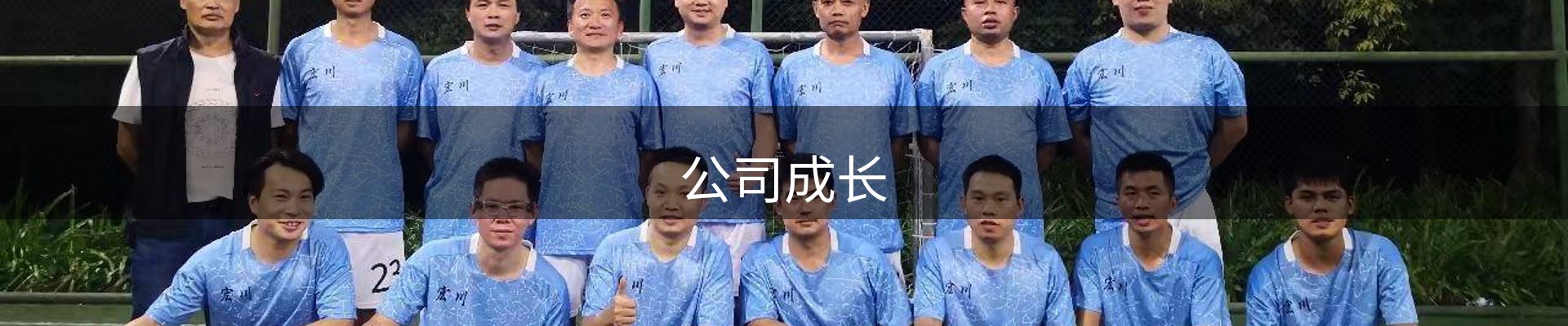 公司成长